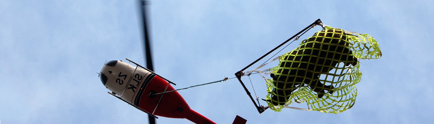 Gallery | April 2017 homepage image 2