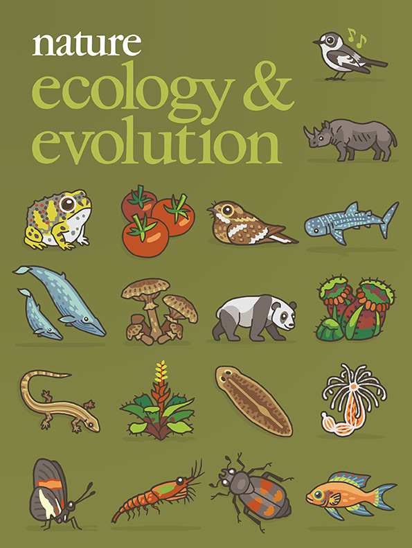 Gallery | January 2018 cover