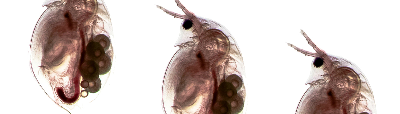 Gallery | January 2018 homepage image 2