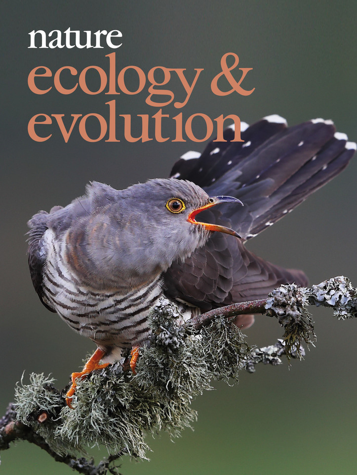 Gallery | October 2017 cover