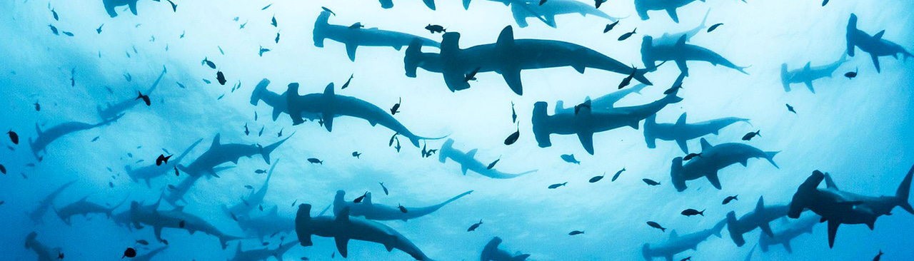 Gallery | February 2018 homepage image 1