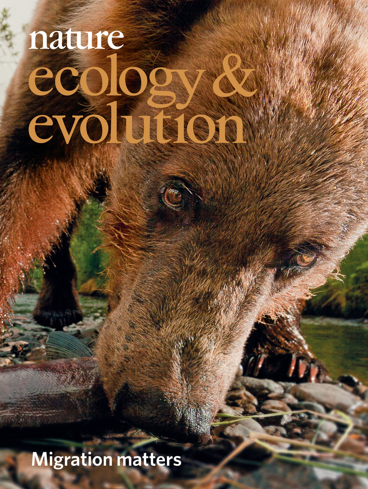 Gallery | December 2018 cover