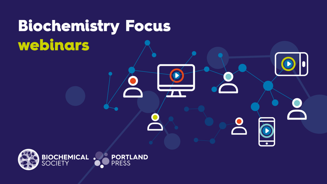 What shapes young people's STEM trajectories?