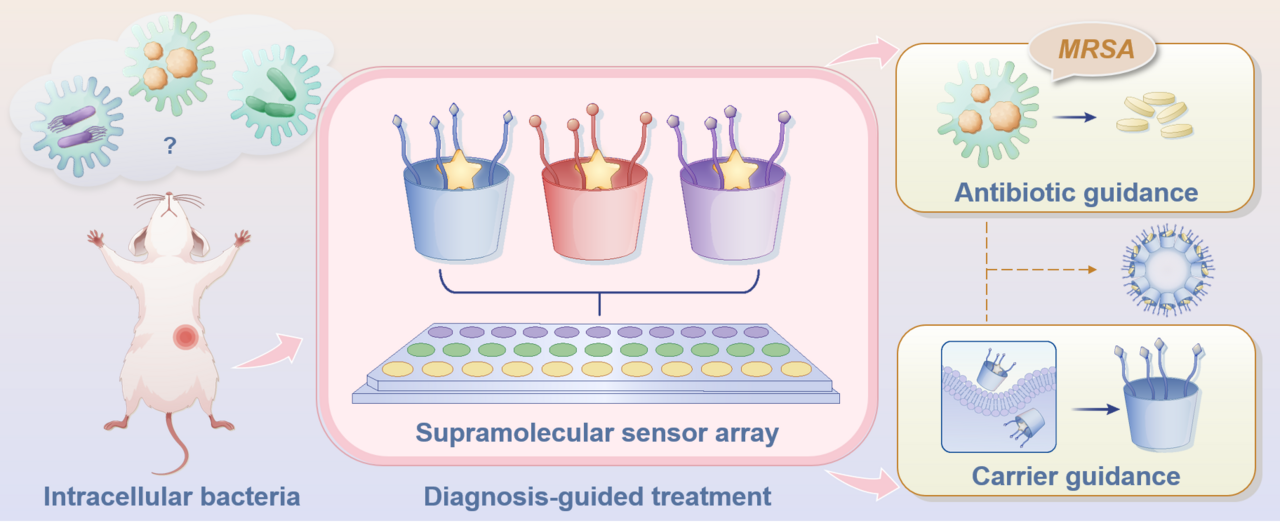 Tackling the Invisible Threat of Intracellular Bacteria