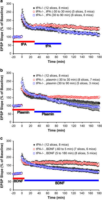 Editorial Summary: Extracellular and intracellular cleavages of proBDNF required at two distinct stages of late-phase LTP