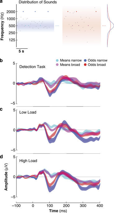 Editorial Summary: Surprise responses in the human brain demonstrate statistical learning under high concurrent cognitive demand