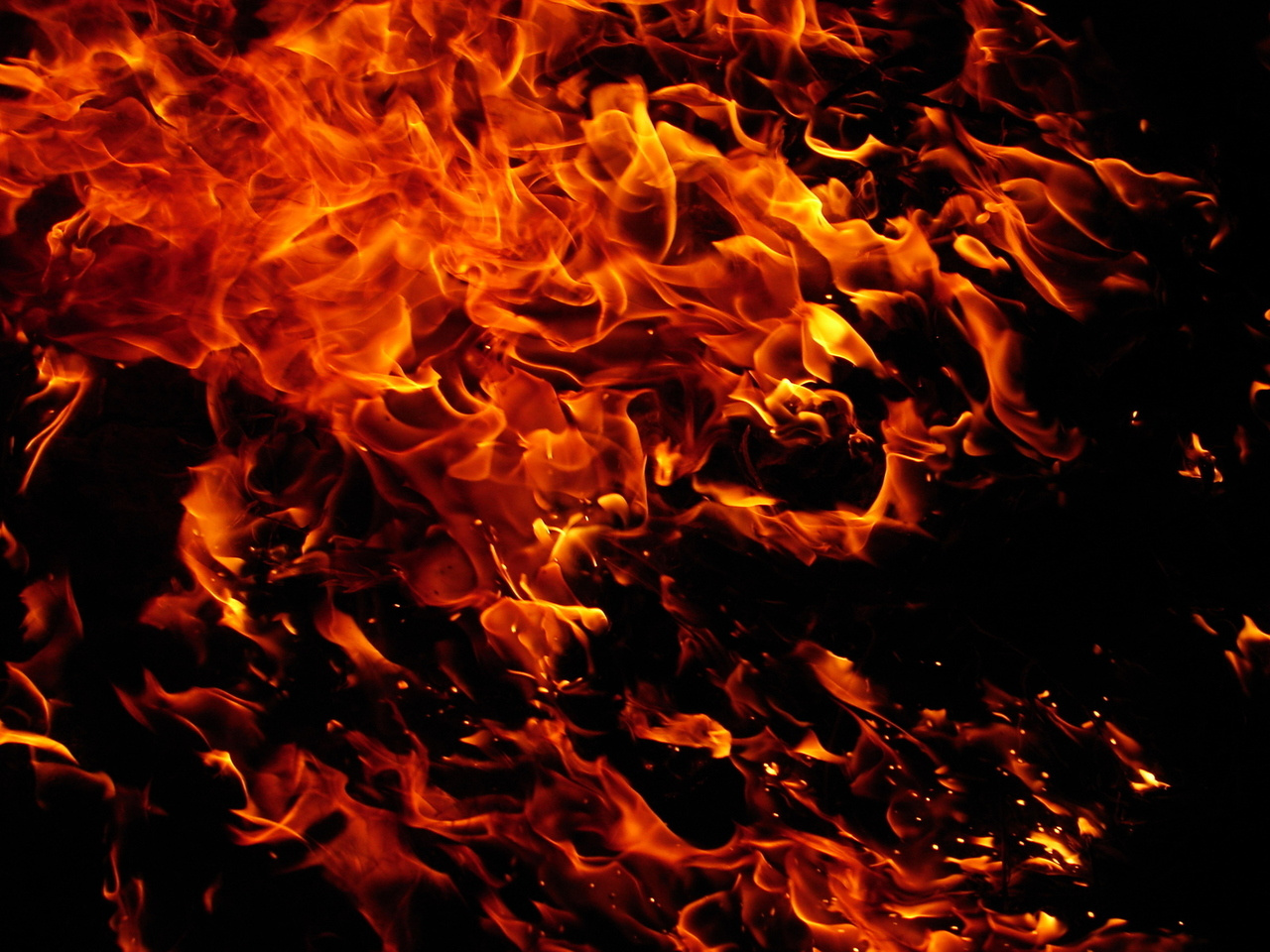 The Tragic Burning of the Brazilian Museum