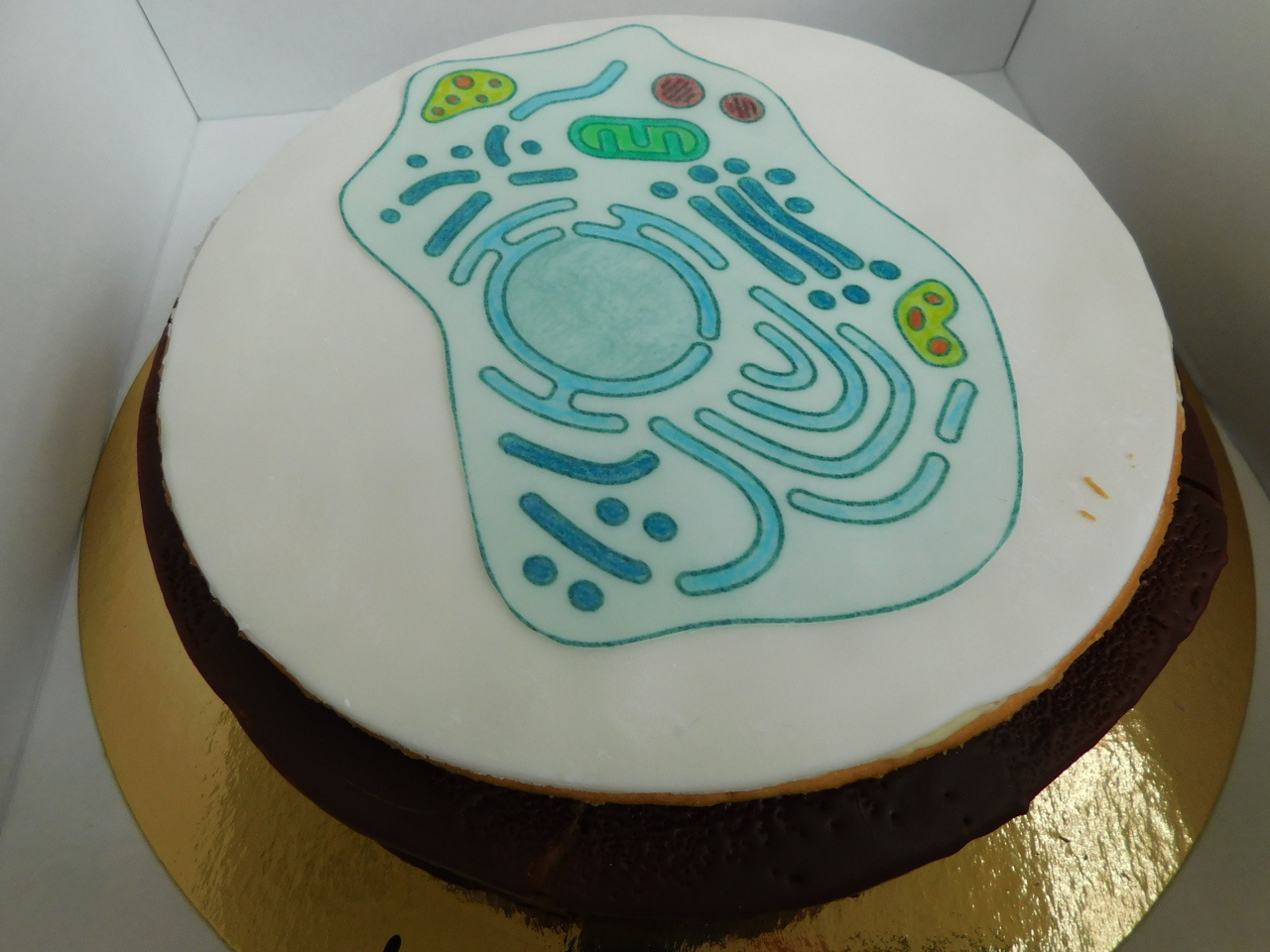 New Study Group "Cellular Organelles" launched at GBM Compact