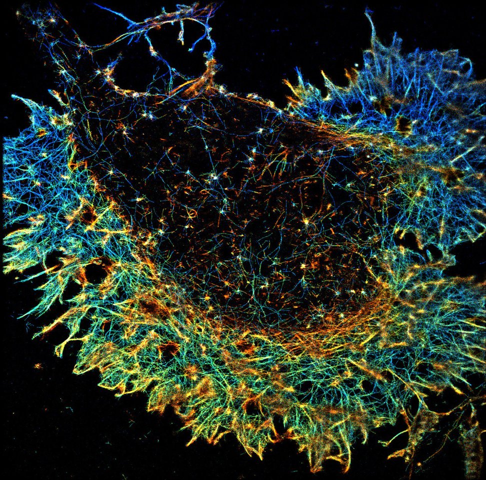 Learning and memory in colour