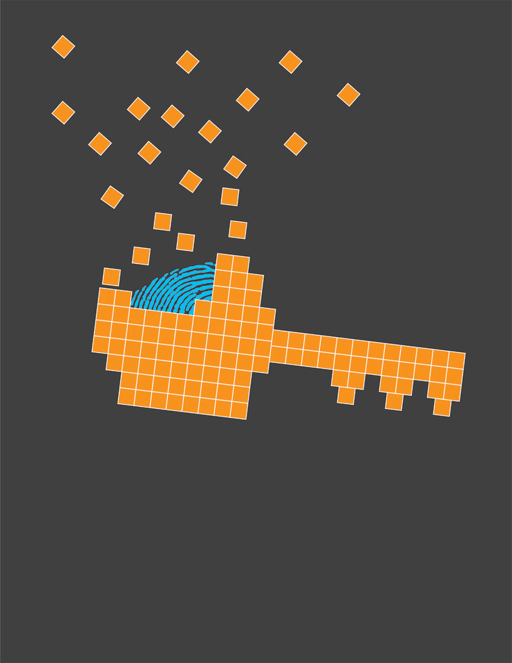 Fingerprint of a memristor crossbar array proves key destruction