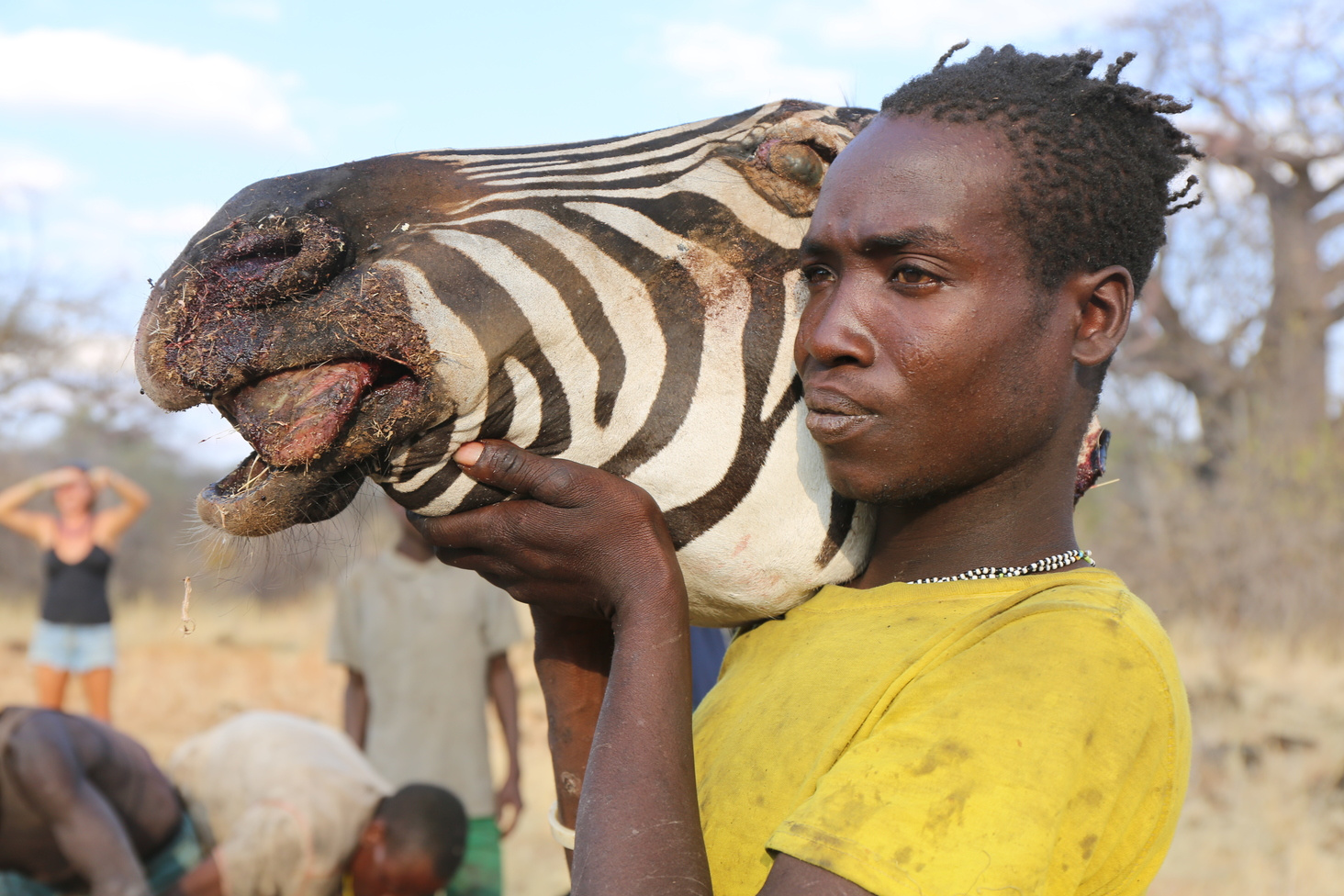 Can’t see the forest for the microbes