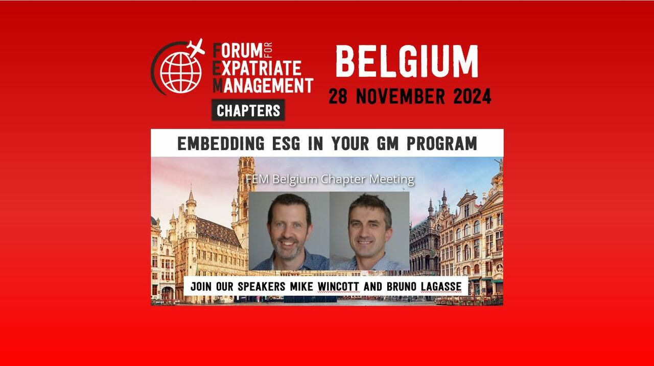 FEM Belgium Chapter Meeting  28/11/2024