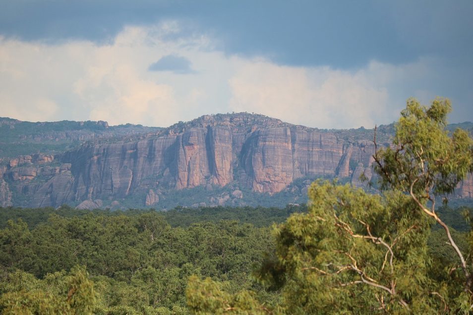 The biodiversity contribution of wilderness areas