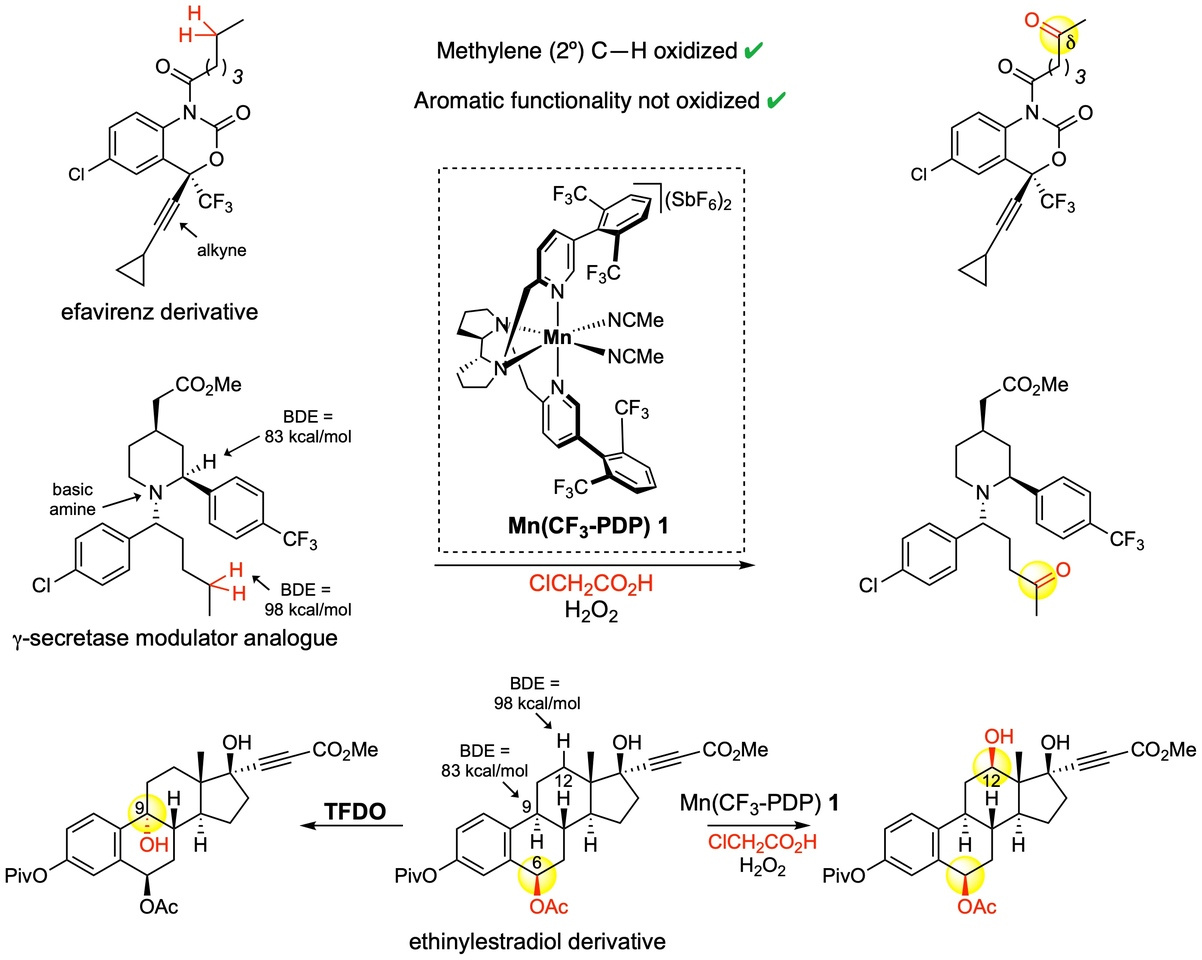 Does nature always know best?