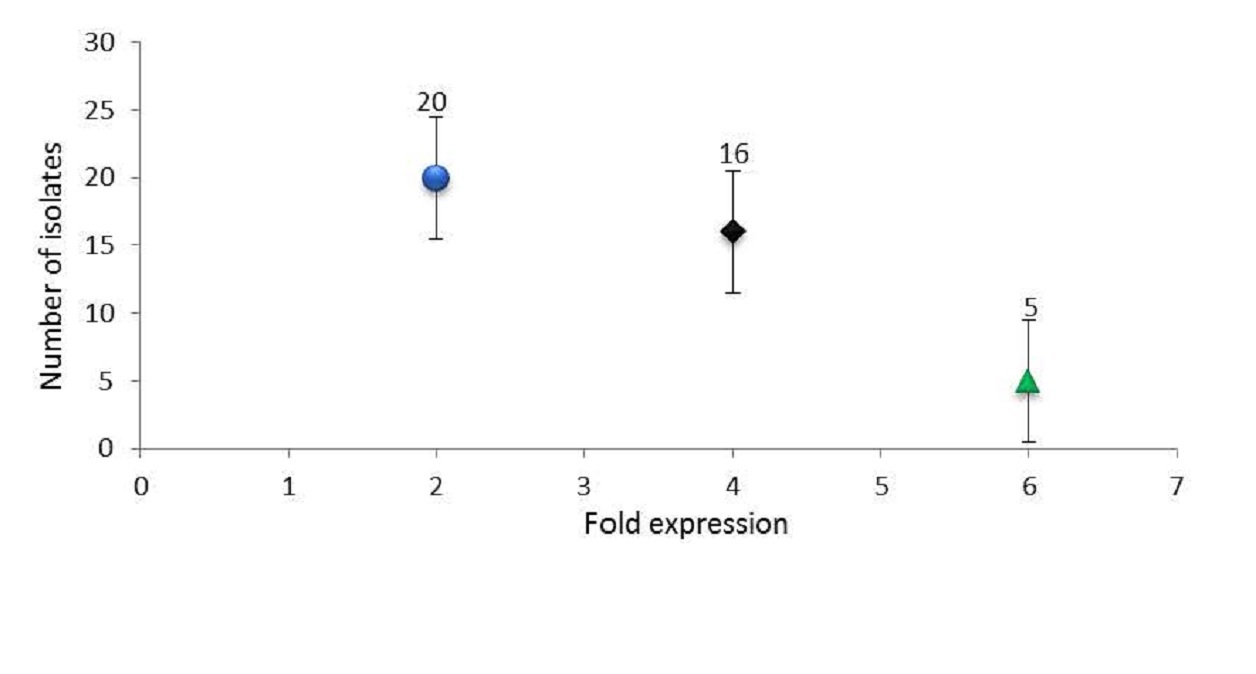 Is biofilm associated protein (bap) gene expression influence by Iron concentrations ?