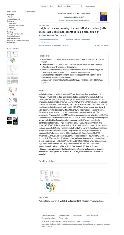 Conformation of metallo beta lactamase enzymes are influence the imipenem and meropenem resistance and MIC