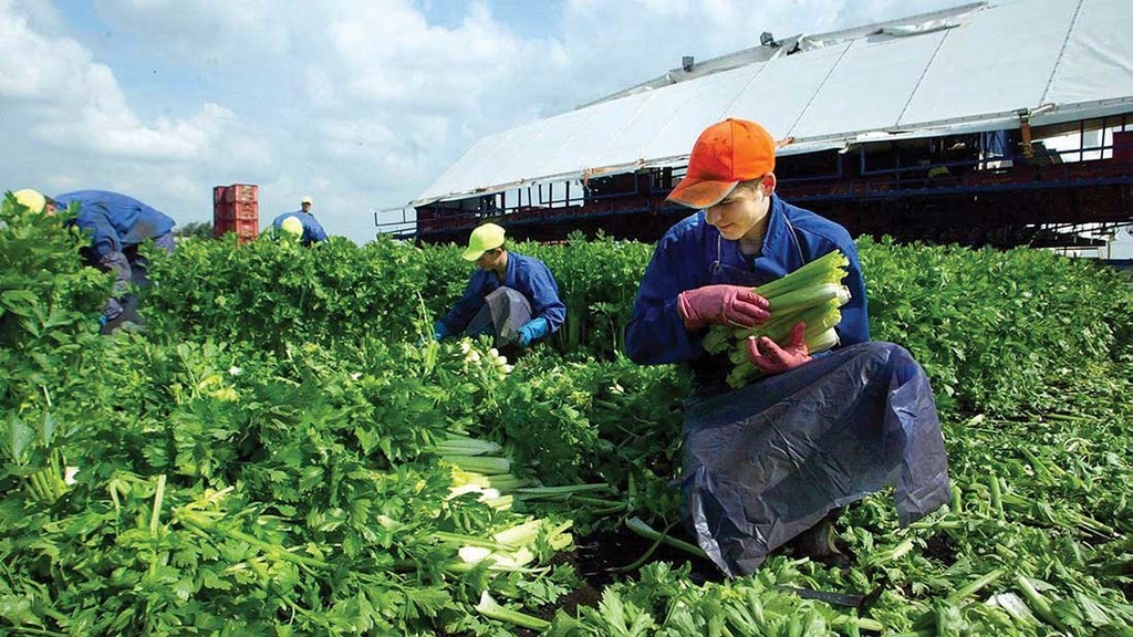 Do you know the visa status of contractors on your work site?