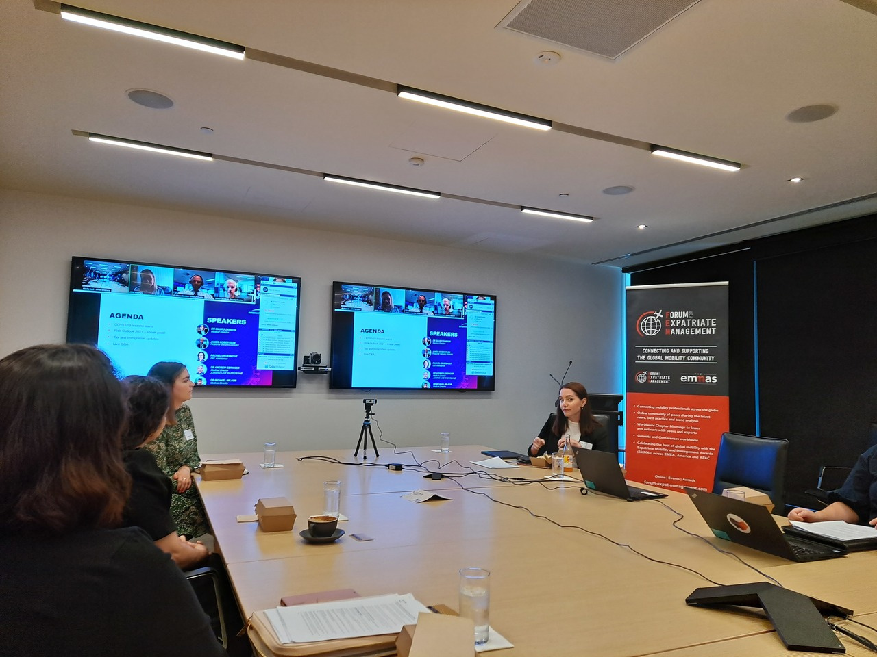 Summary COVID Lessons Learnt & Risk Outlook 2021 Preview 