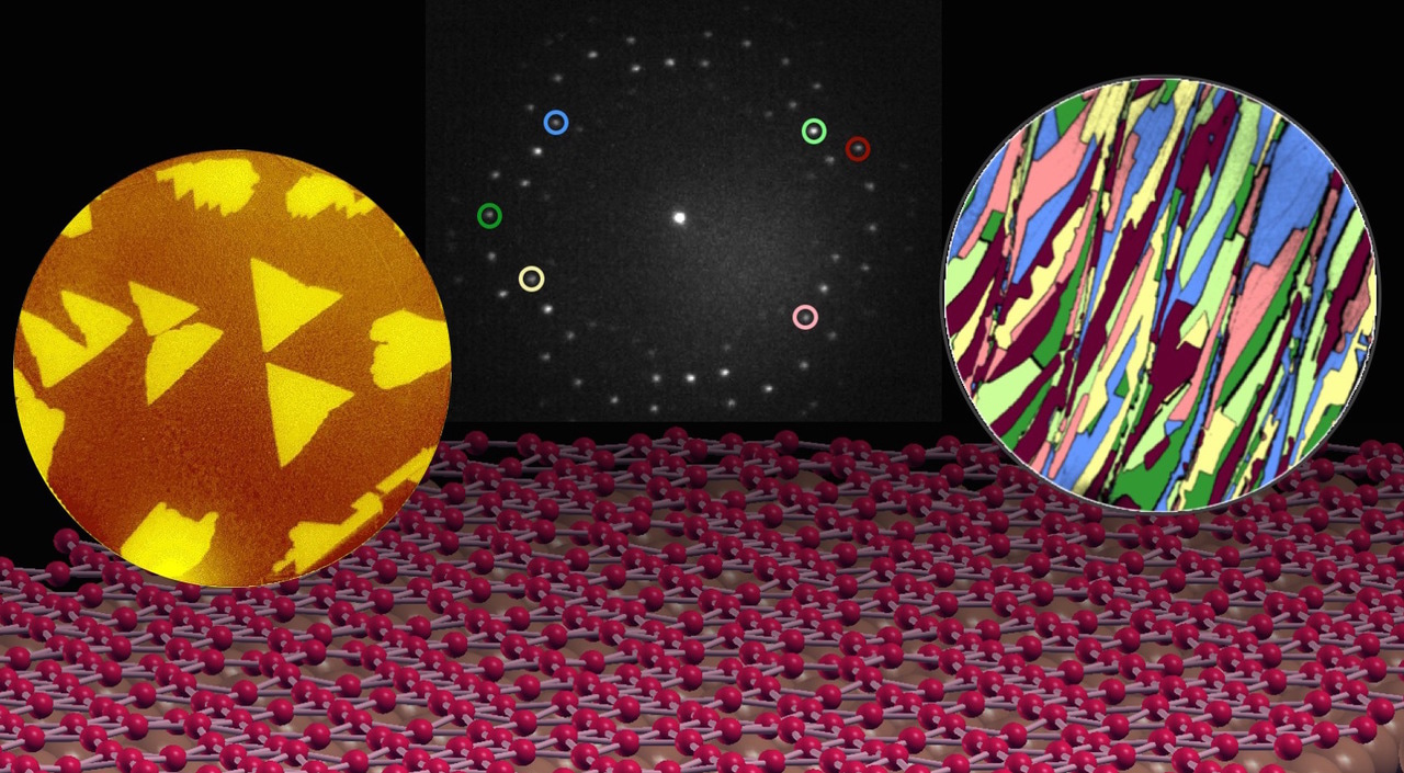 Large-area single-crystal sheets of borophene