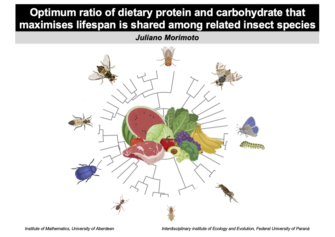 Comparative precision nutrition: is there a meal to feed them all? 