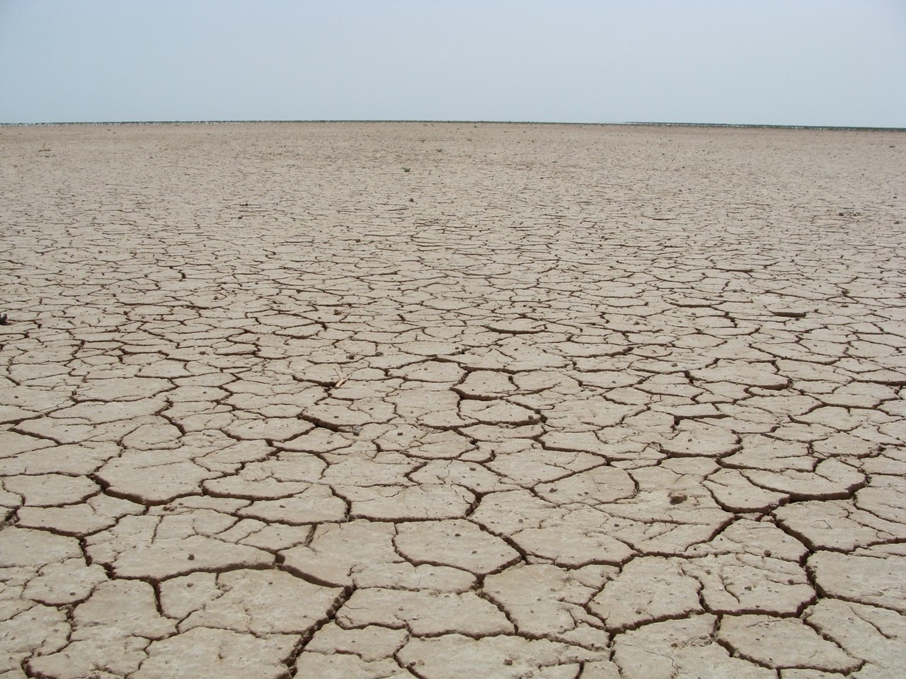 Offsetting biodiversity loss: a global picture