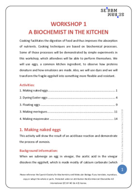 A biochemist in the kitchen – SEBBM workshop 1 