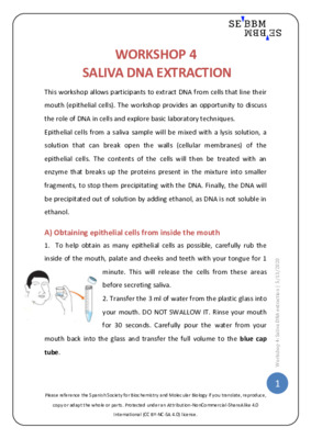 Saliva DNA extraction – SEBBM workshop 4