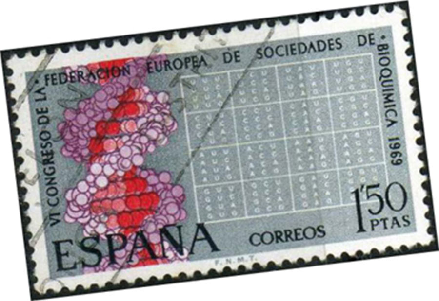2019 SEBBM Congress (Madrid, 16-19 July) will celebrate the fiftieth anniversary of the VI FEBS Congress, organized in Madrid, in April 1969