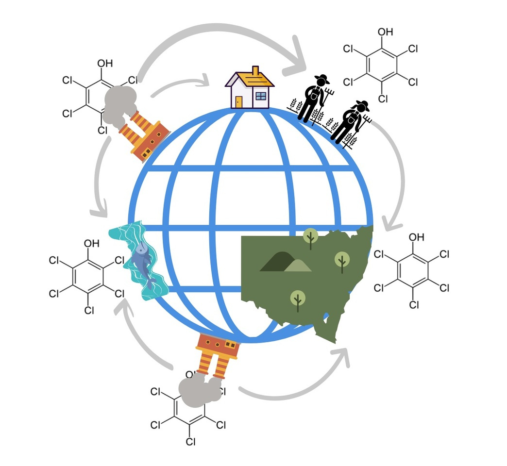 Can pollution act as a trigger of fungal pathogenic potential?