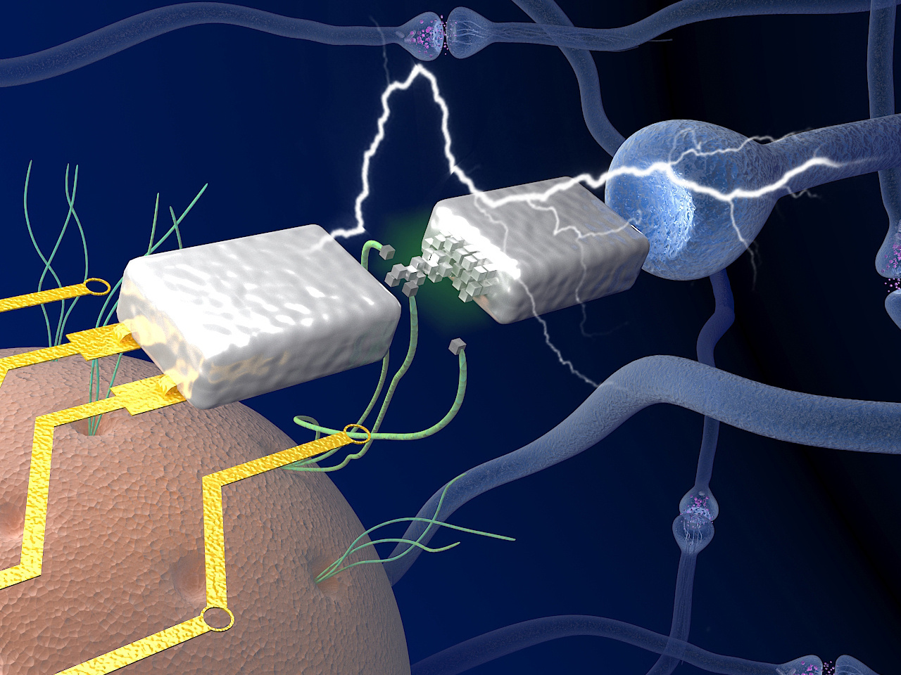 Bioinspired Bio-voltage Memristors