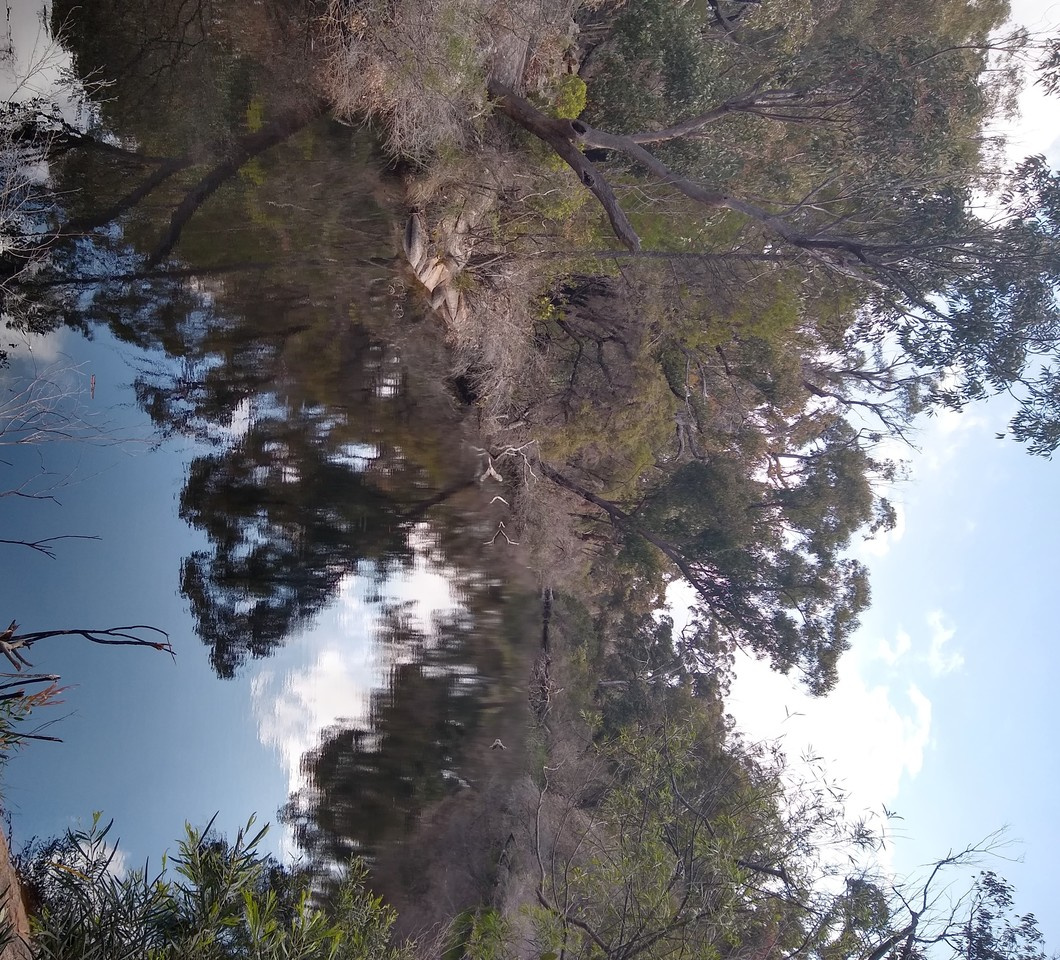 After the Paper: Lunch will be served from NOON