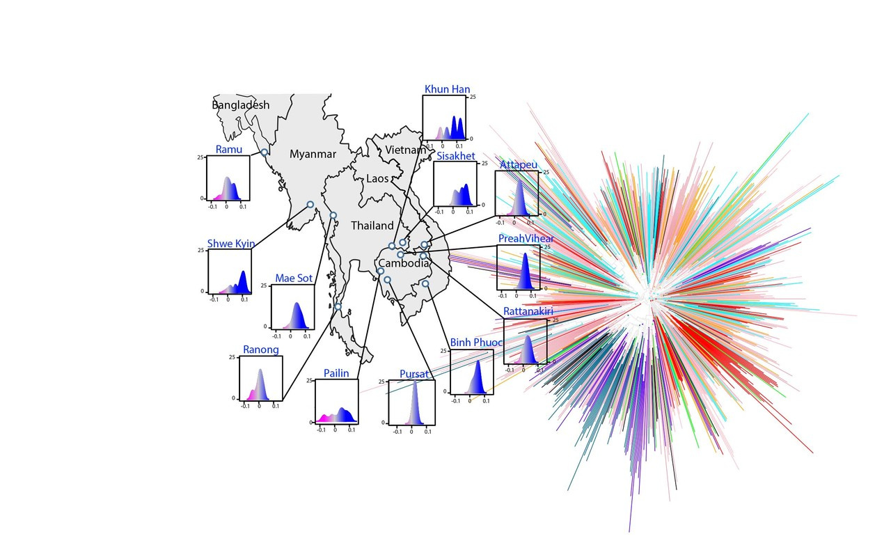 The origins of malaria artemisinin resistance
