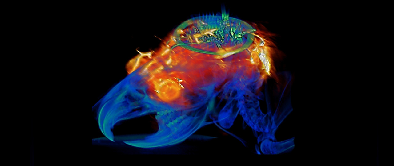 Battery-free and digitally controlled implantable light sources for neuroscience research