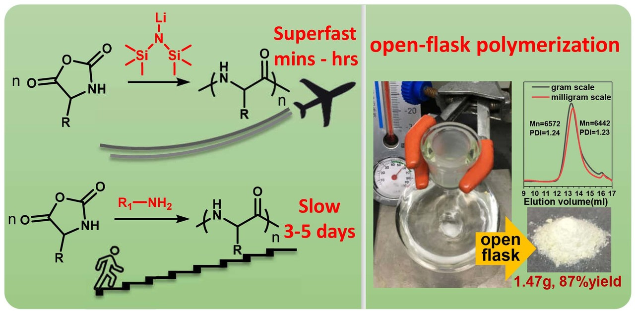 Openvessle and Superfast NCA Polymerization to Synthesize Polypeptides