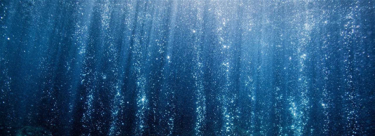 Window to the future: volcanic CO2 vents provide a glimpse of potential future marine biodiversity impacts