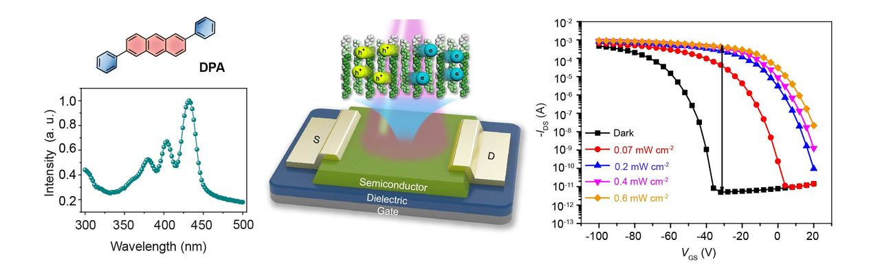 Win-win of optoelectronic properties in organic phototransistors