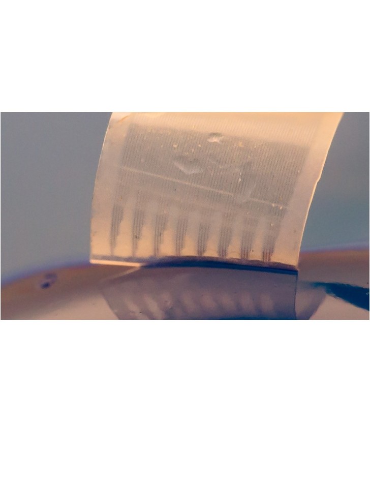 Jelly-like microelectronics for neuromodulation