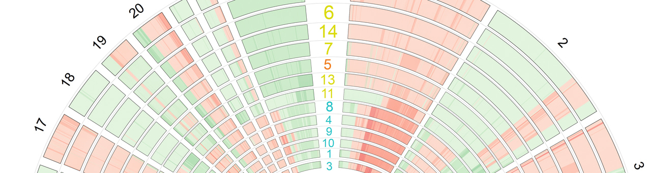 Proteomics joins the discussion of cell line reproducibility