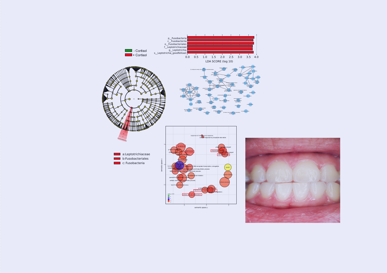 How bacteria respond to human stress