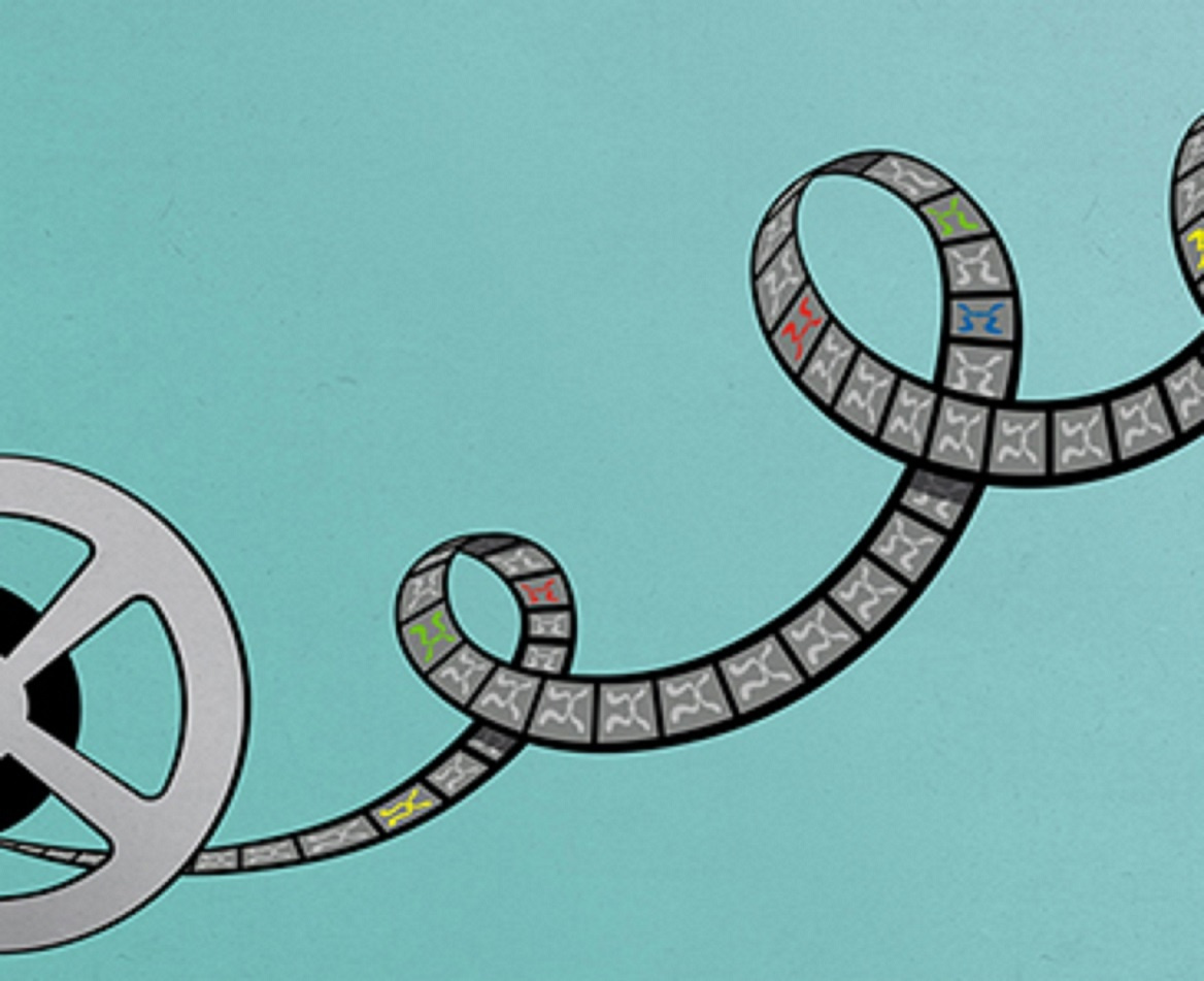 Genome Editing Collection