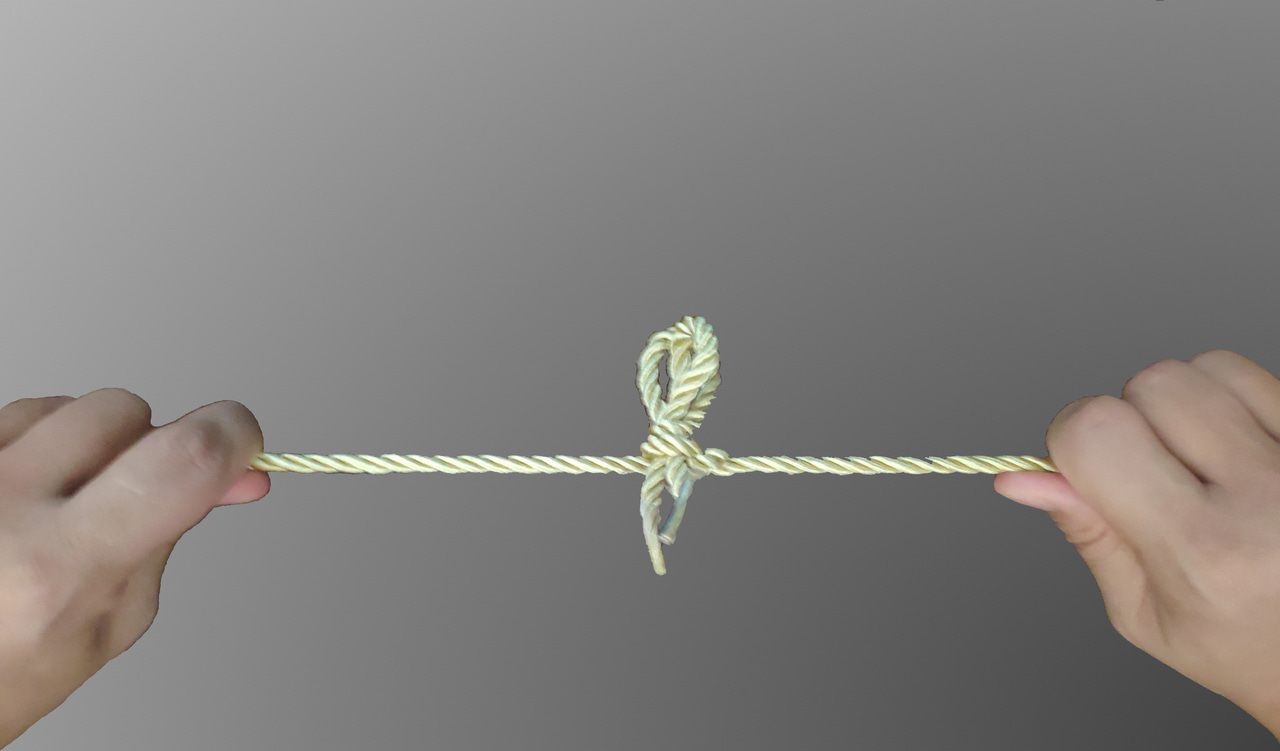 Force-induced ring-open hydrolysis strengthens the maleimide-thiol adducts for stable protein-polymer conjugates