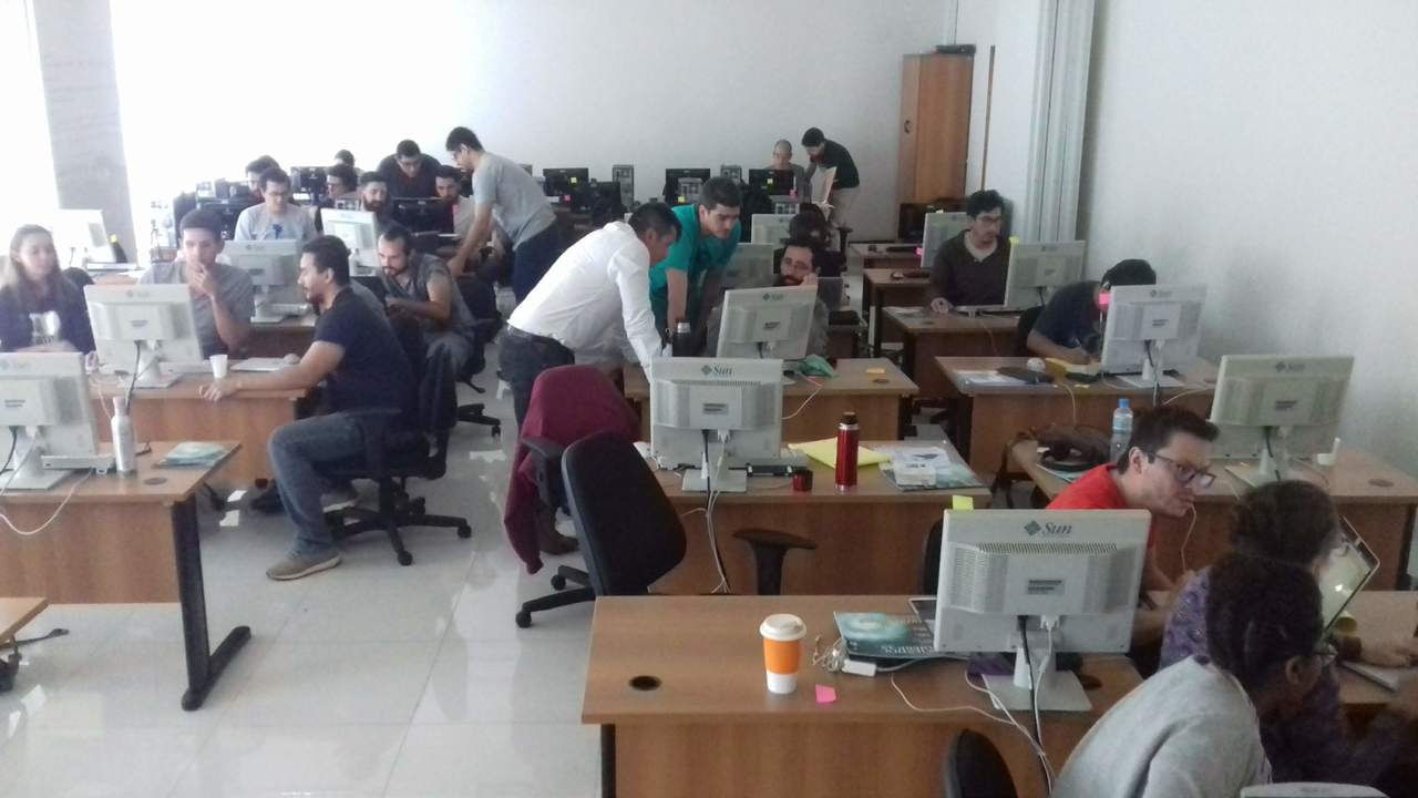 An old dog learning new tricks