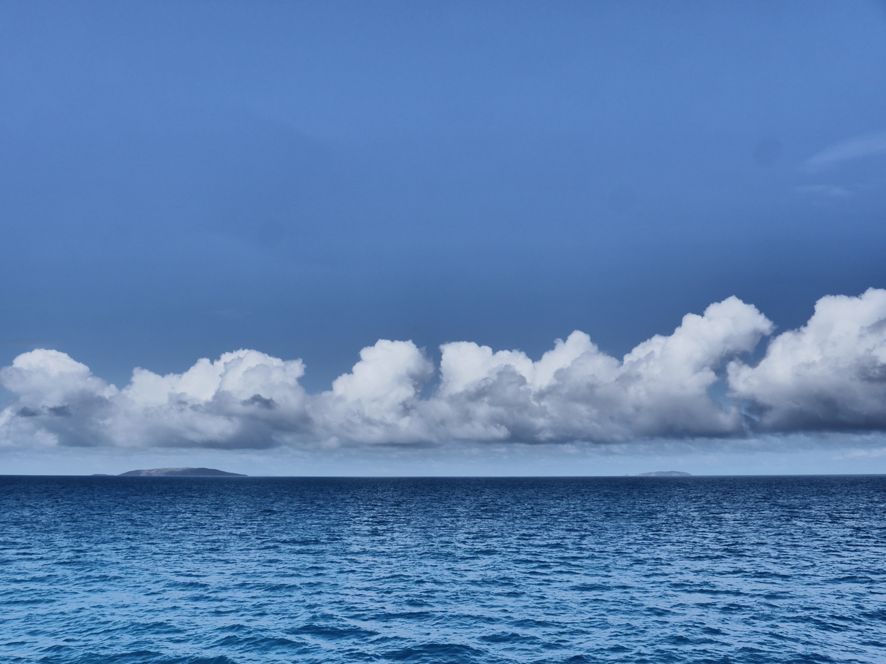 Microbes connect the earth, sea and sky