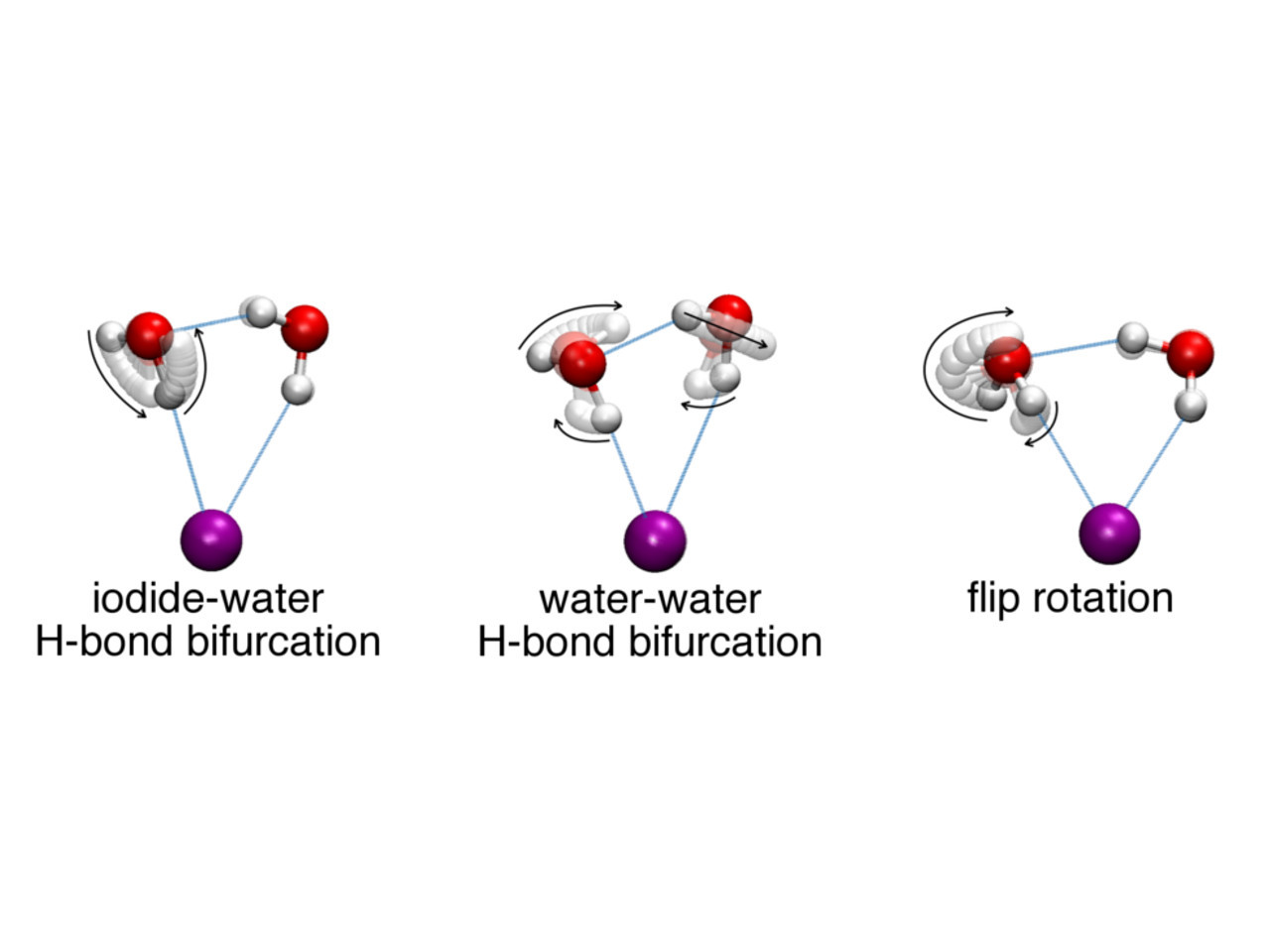 Computer simulations reveal tunneling pathways leading to hydrogen-bond  rearrangement in the iodide-dihydrate complex 