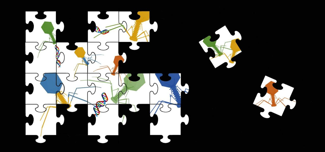 Assembling the human gut virome, finding the right tools for the job! 