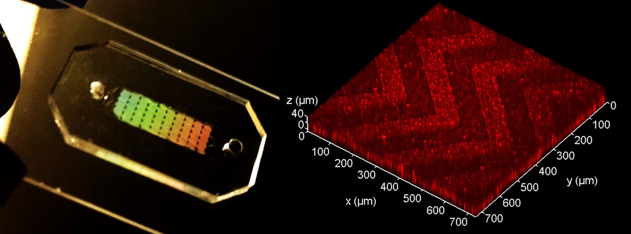 3D Nano-engineering of microfluidics for liquid biopsy