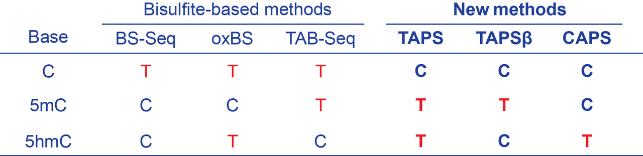 A new way to sequence DNA epigenetic modifications