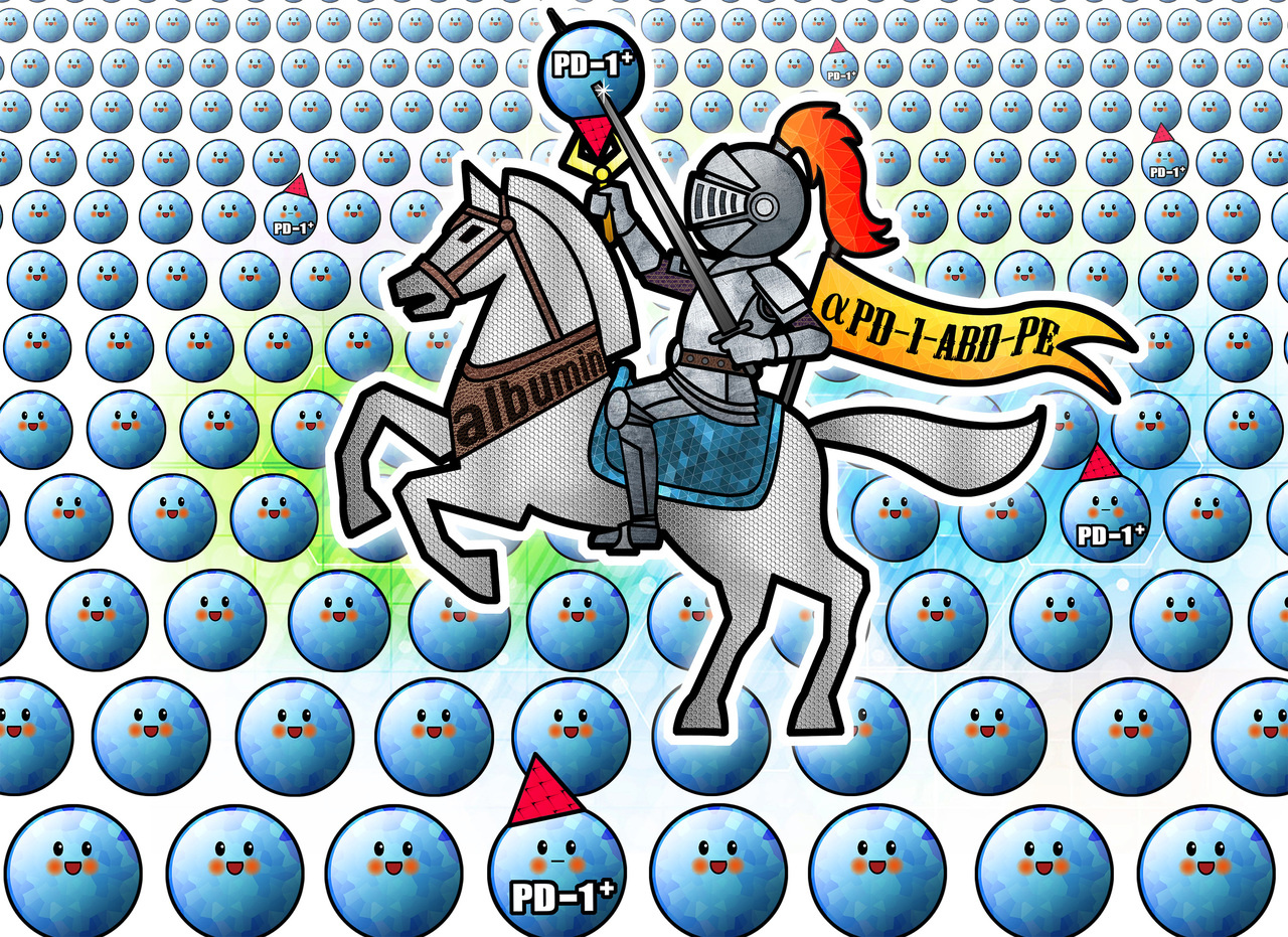 αPD-1-ABD-PE, A Knight Rising among Lymphocytes