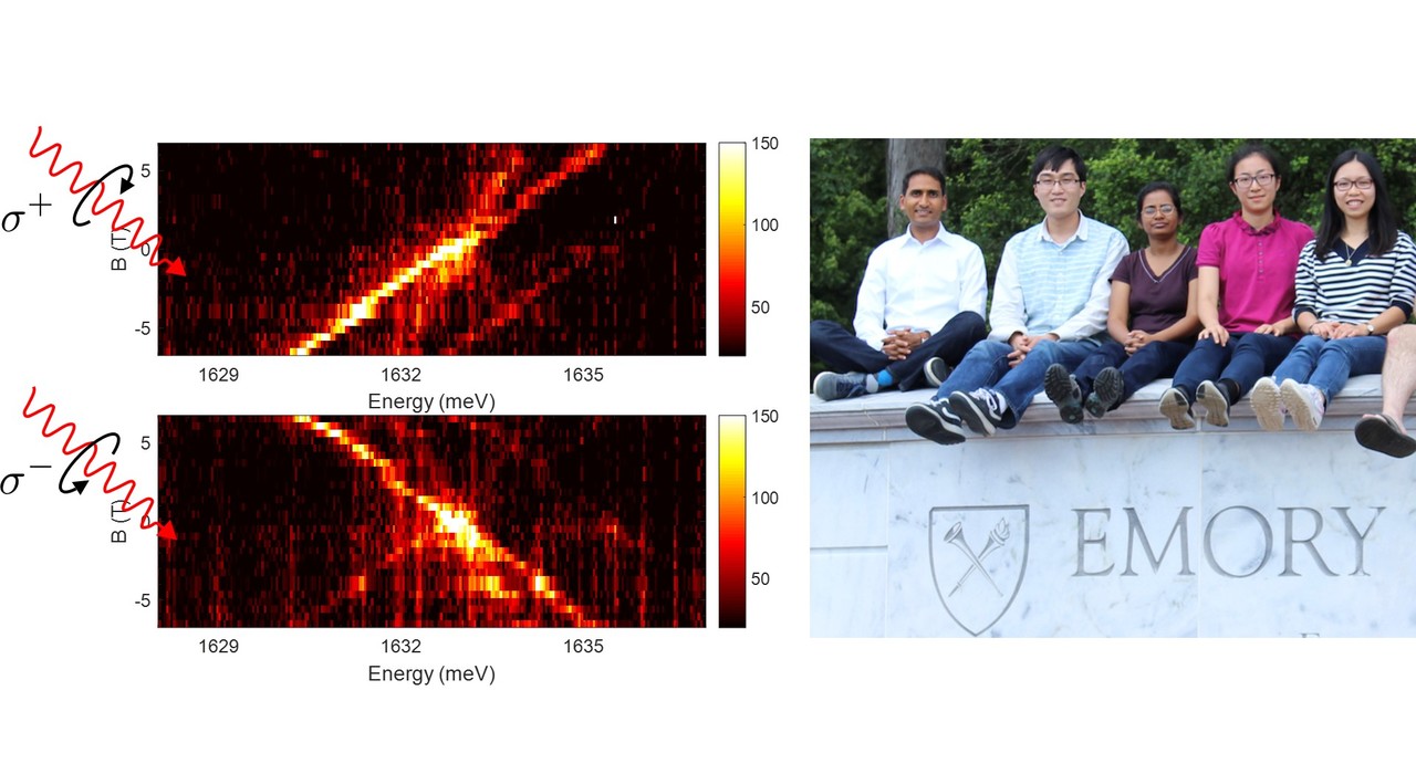 Single spins in 2D materials come to light