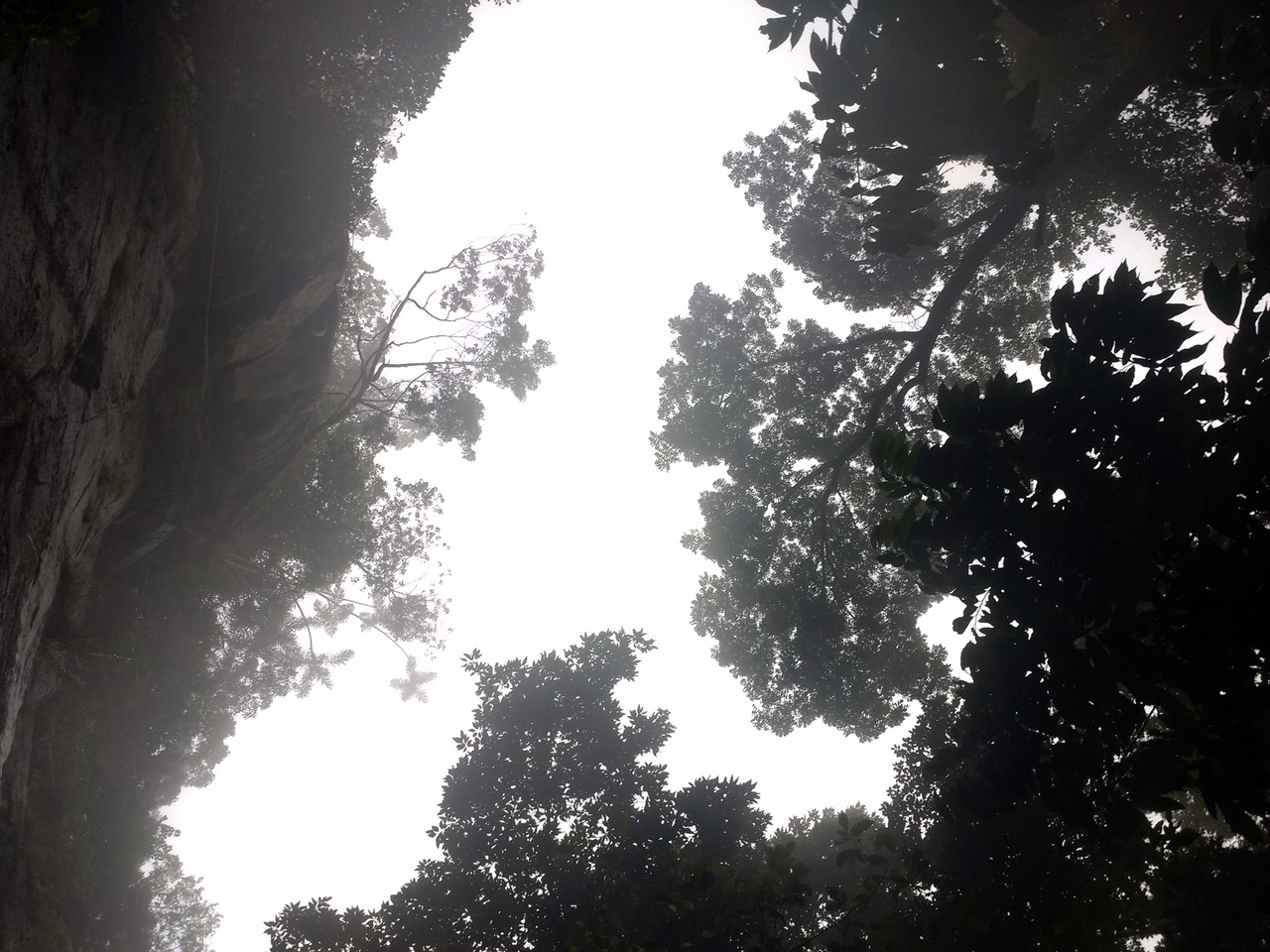 Specialized Arboreal Prey Hunting by Early Humans in Sri Lanka